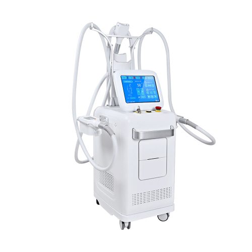 Professional Cryolipolysis Slimming Machine